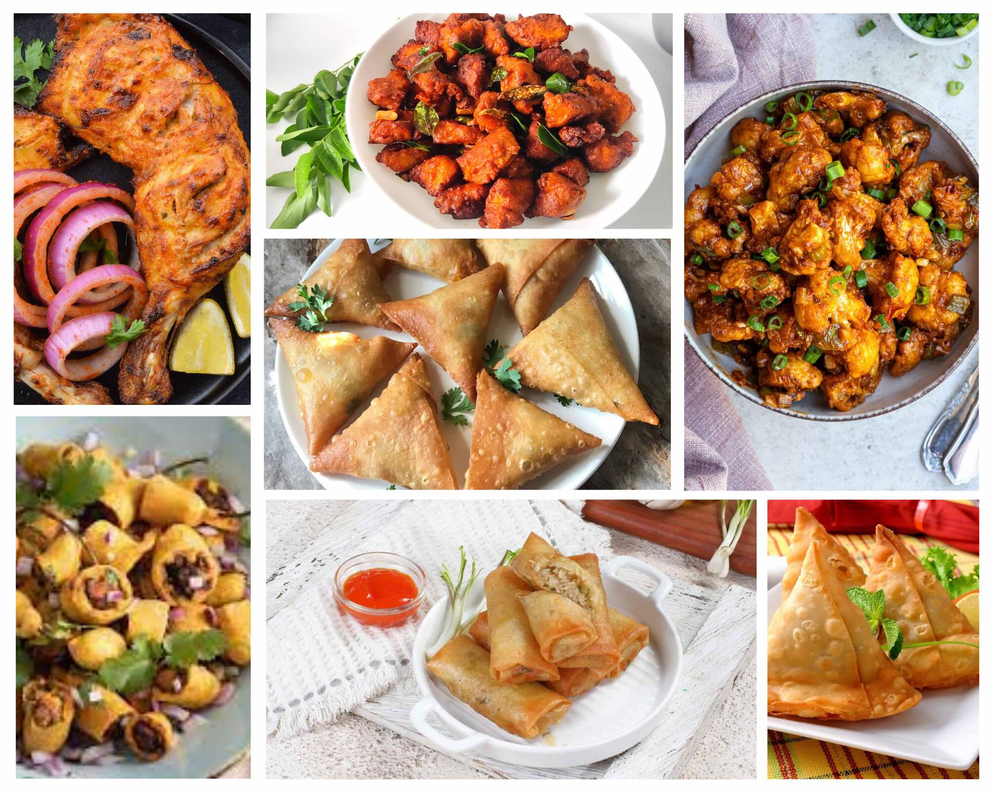 Appetizers (Veg)