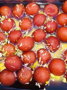 Gulab Jamun