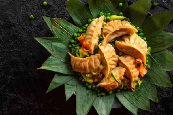 Veg Dumplings 555