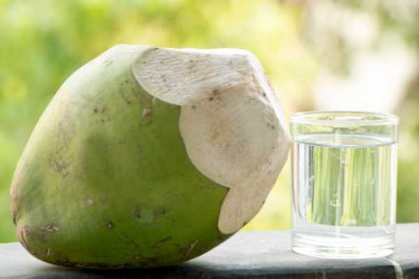 Coconut Water (16Oz)