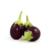 Eggplant Indian - 1lb