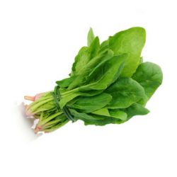 Spinach - 1 Bunch