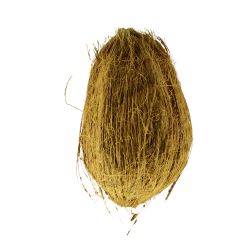 Coconut Dry (Pooja) - 1 Each