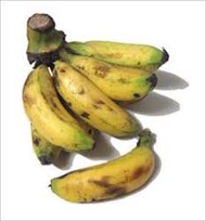 Burro Banana