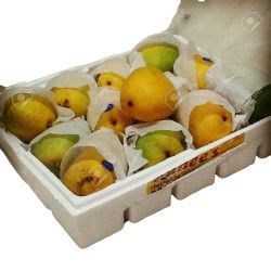 Indian Mangoes Box