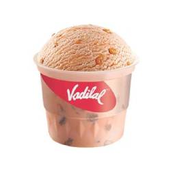 Vadilal Butterscotch Ice Cream 100ml