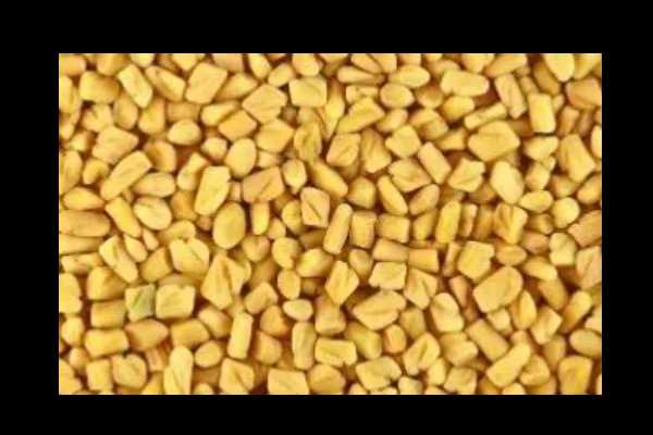 Javitri - Sweet / Warm / Aromatic
