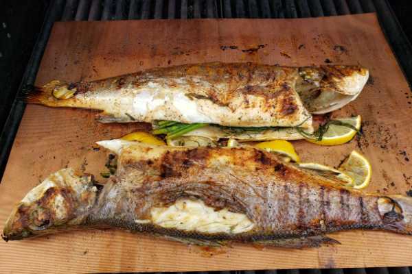 WHOLE GRILL FISH