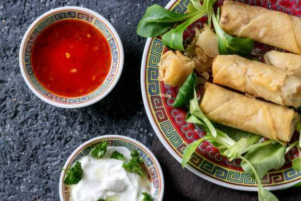 Veg Spring Rolls