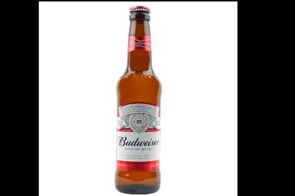 Budweiser beer