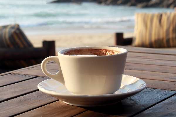 MADRAS COFFEE 