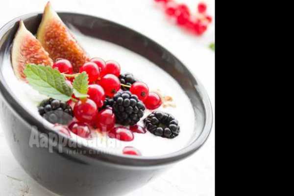 YOGURT 