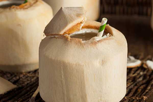 Tender coconut water (Nariyal Pani)