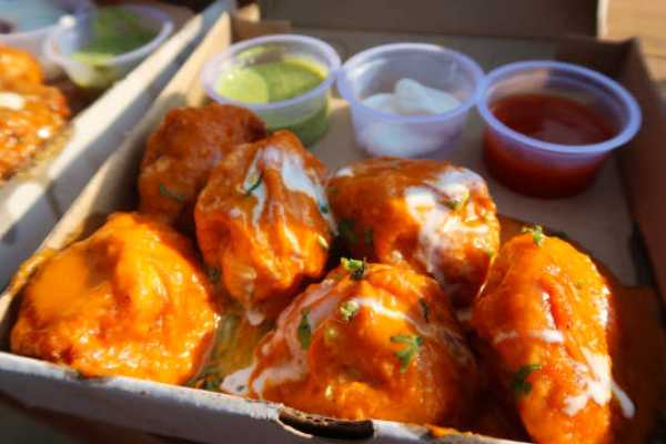 Chicken Dumplings Fried (6)