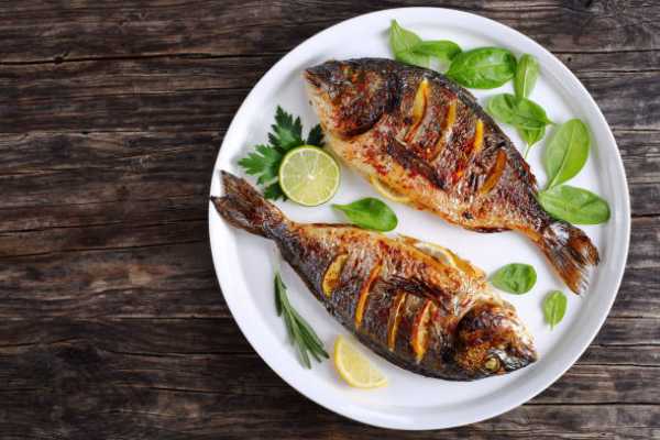 Malabar Tavva Fish