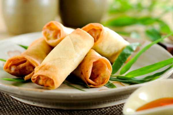 Veg Spring Roll