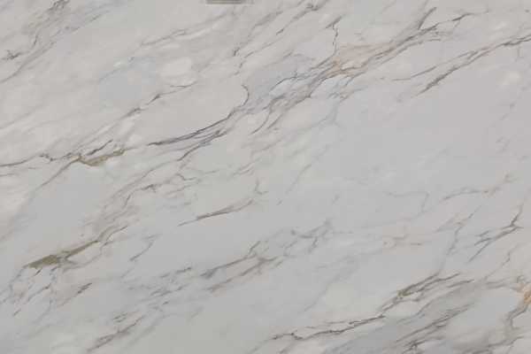 Calacatta Botanica PSQ