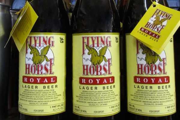 Flying Horse