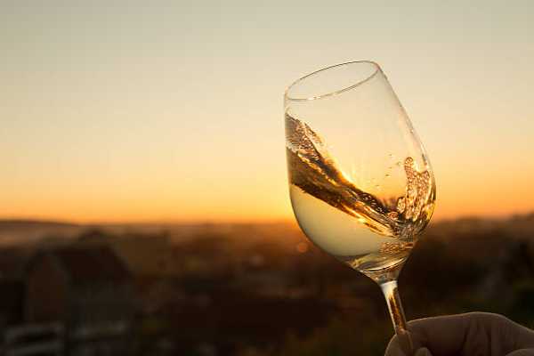 Sauvignon blanc (Bottle)