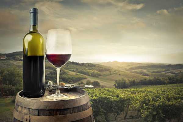 Merlot (Bottle)