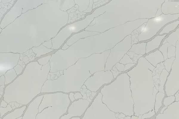 Calacatta Grey Sponda PSQ