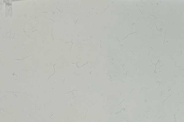 Carrara Bianco Classic-PSQ