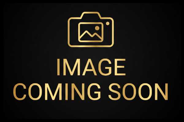 Chassis front universal wheel