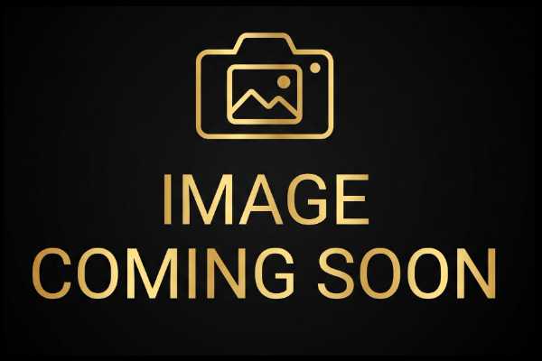 Extended dust removal mop