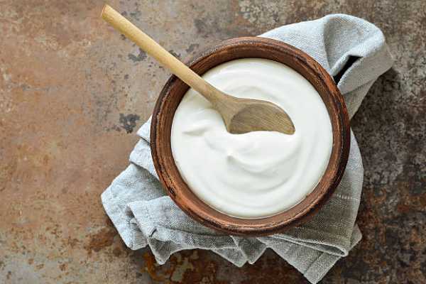 PLAIN Yogurt