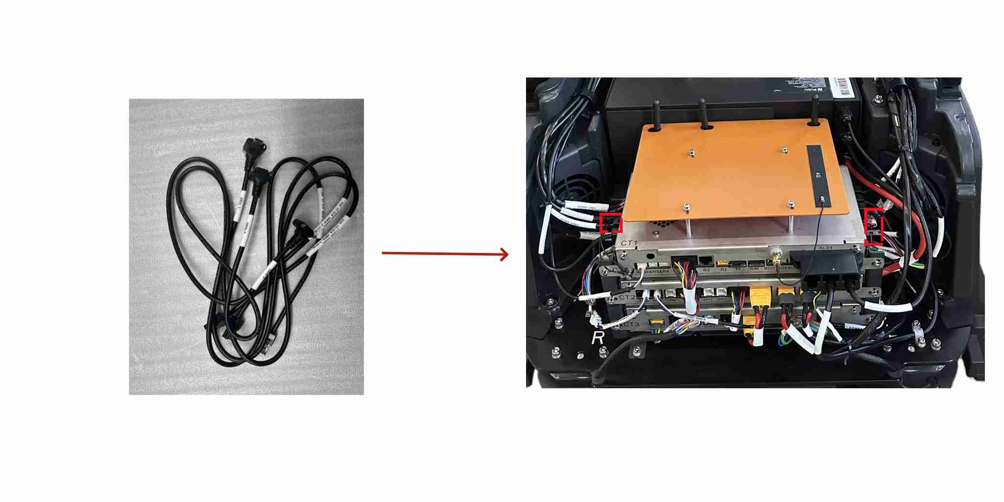 RGBD harness - #PR-PDU-057C
