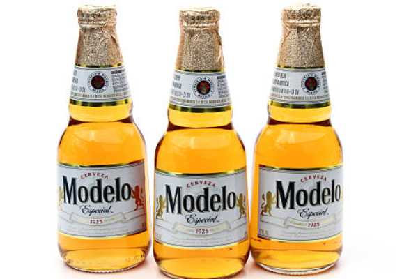 MODELO (SMALL)