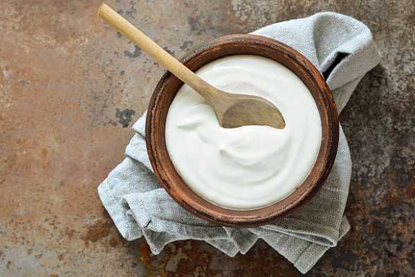 PLAIN Yogurt
