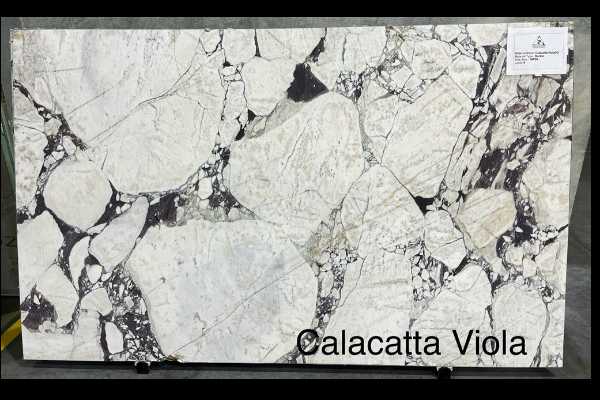 Calacatta Viola(H)