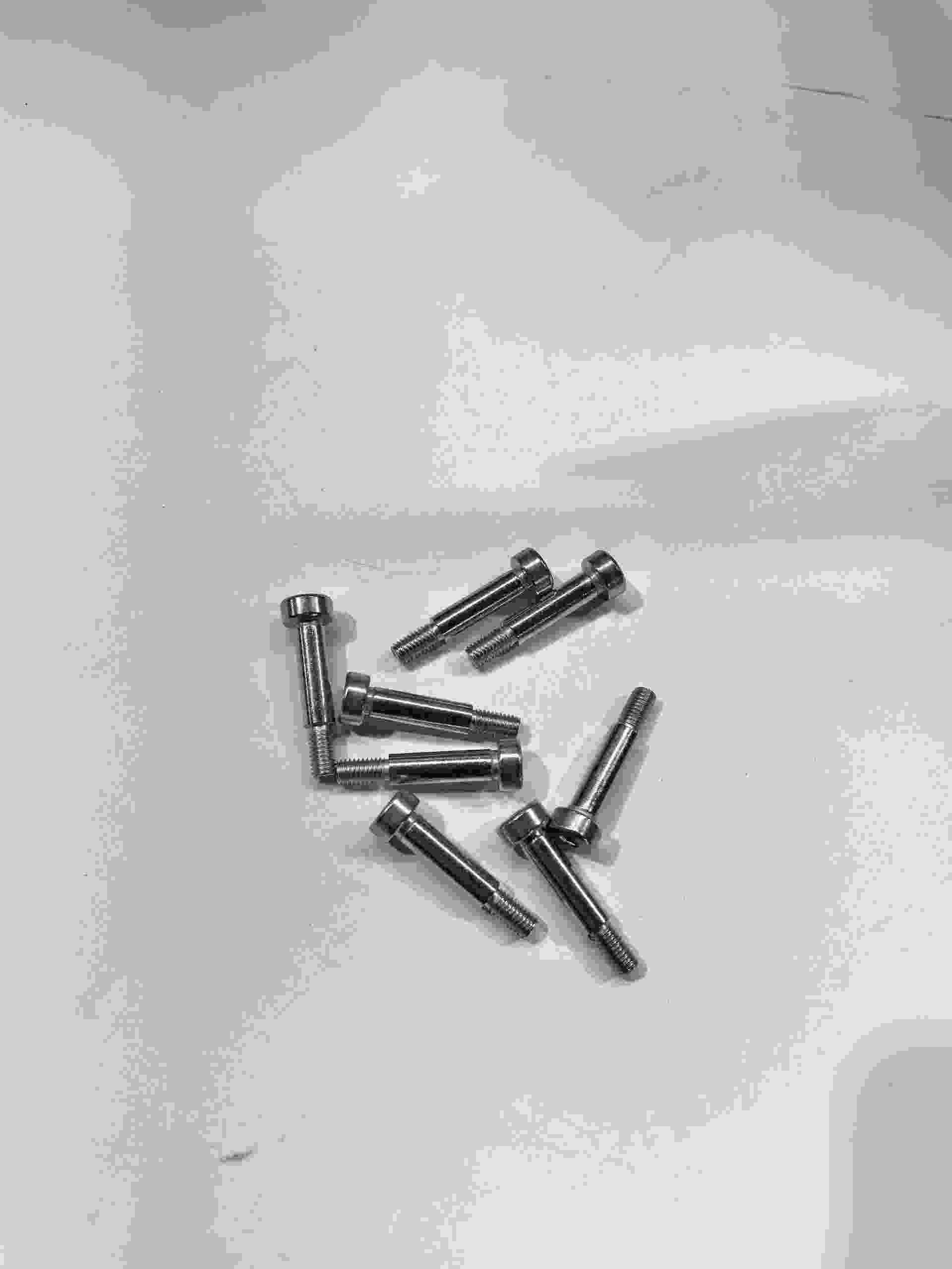 Squeegee Lift Assembly Screws (Stainless Steel)