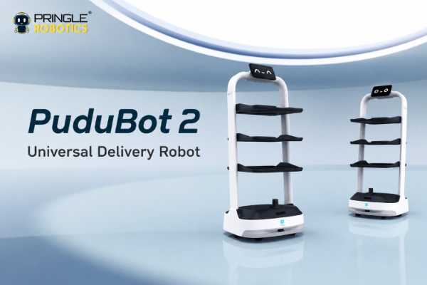 PuduBoT 2 Long Brochure