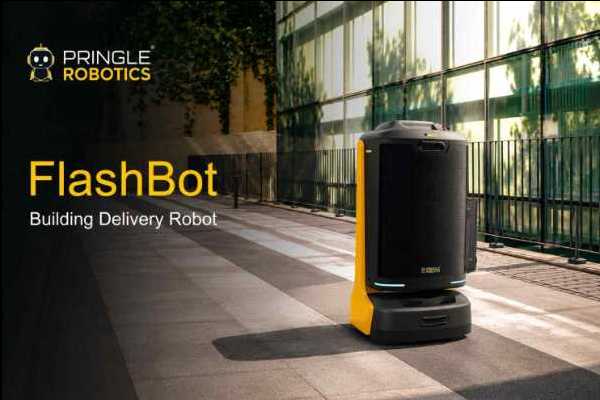 FlashBoT