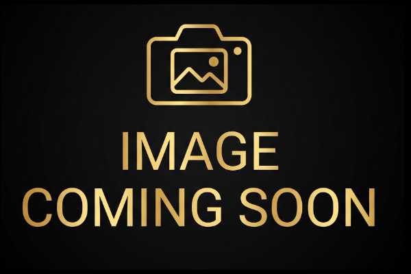 BG1 Pro Workstation