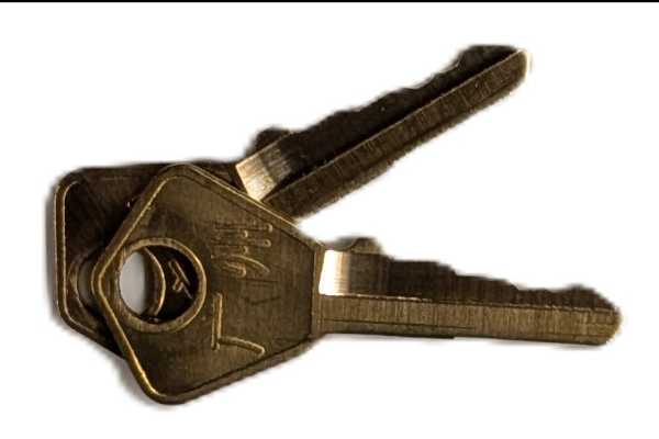 CC1 Keys (Set of 2)