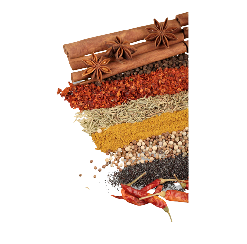 Desi Flavors Tampa Masala