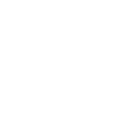 Instagram icon - Biryaniz Indian Cuisine