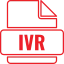 Custom IVR