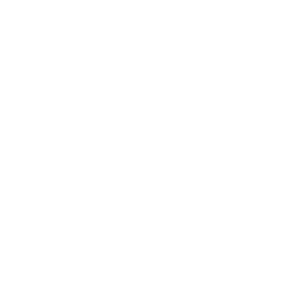 experience-icon