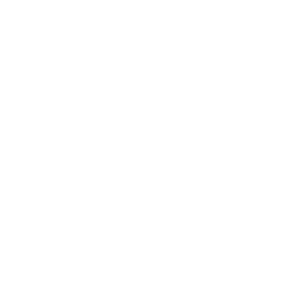Custom IVR