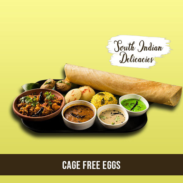 South Indian Delicious