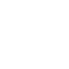 Indo Chinese
