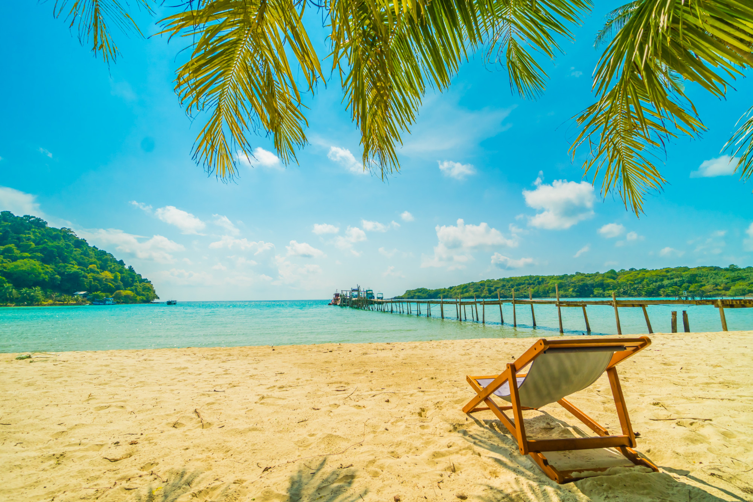 A beach scene