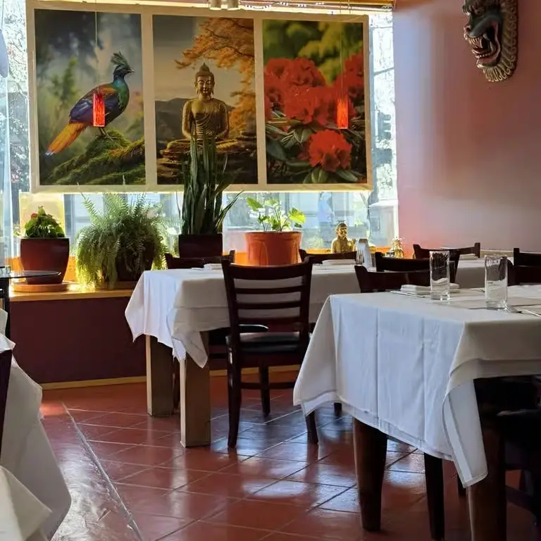 Everest curry and Momo House Interior